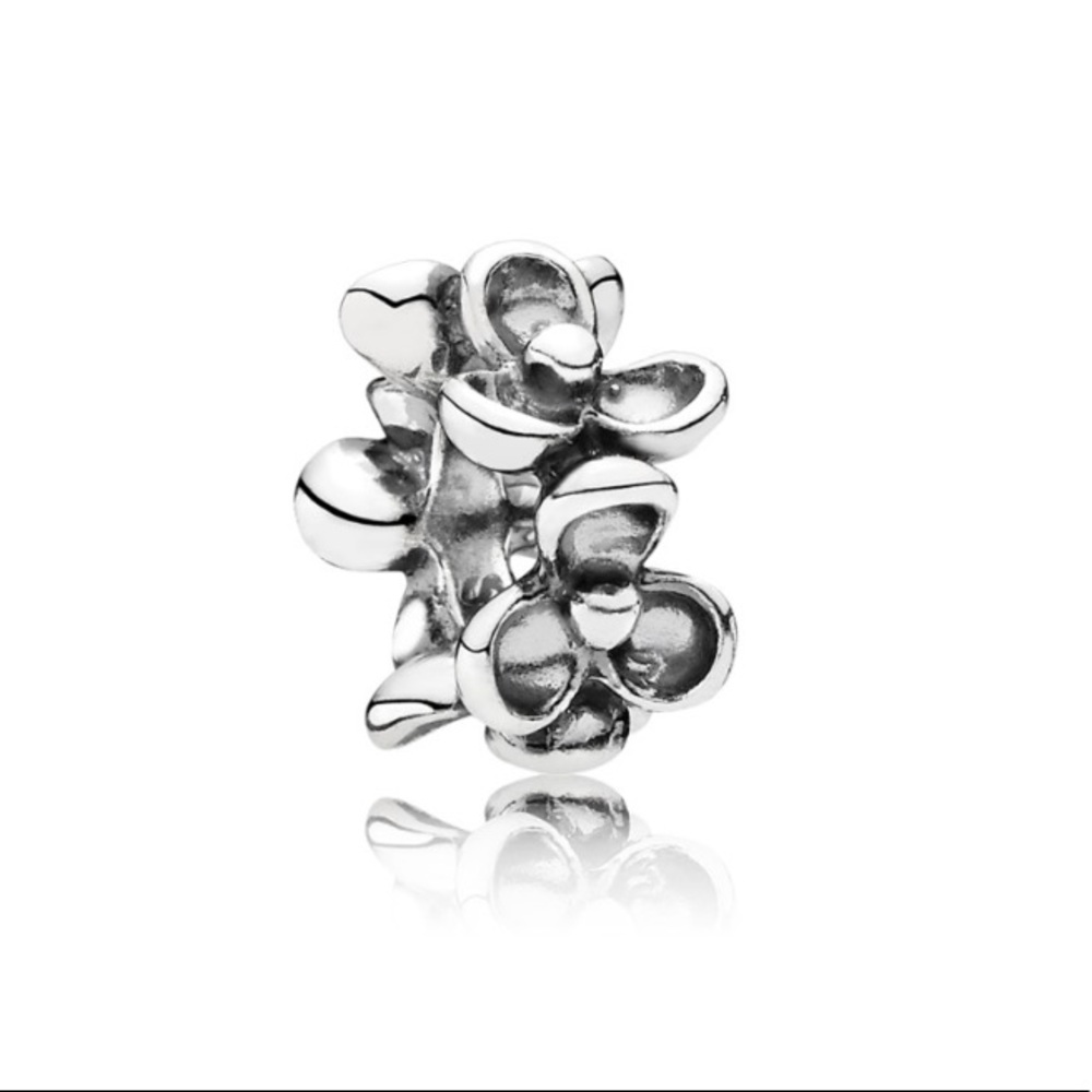 NWT Pandora Floral Spacer 🌸